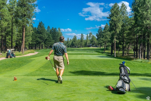 9065 Meadow Dr, Sundance, UT 84604 - surrounding community with a lawn and golf course view