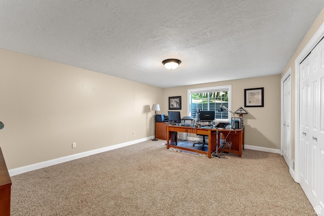 9065 Meadow Dr, Sundance, UT 84604 - office space with baseboards, a textured ceiling, and carpet flooring