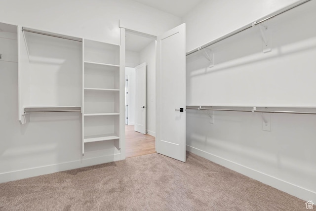 walk in closet featuring carpet flooring