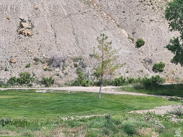 2595 N Fairway Ln Unit 11, Helper, UT 84526 - photo 8