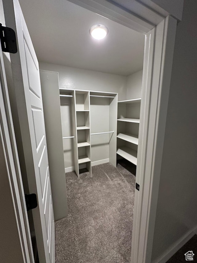 walk in closet featuring dark carpet