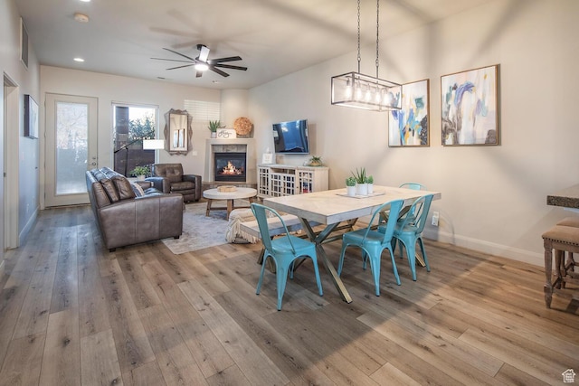 dining room featuring ceiling fan and light hardwood / wood-style flooring