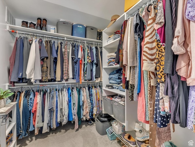 8257 N Sandalwood Ln, Park City, UT 84098 - spacious closet with carpet flooring