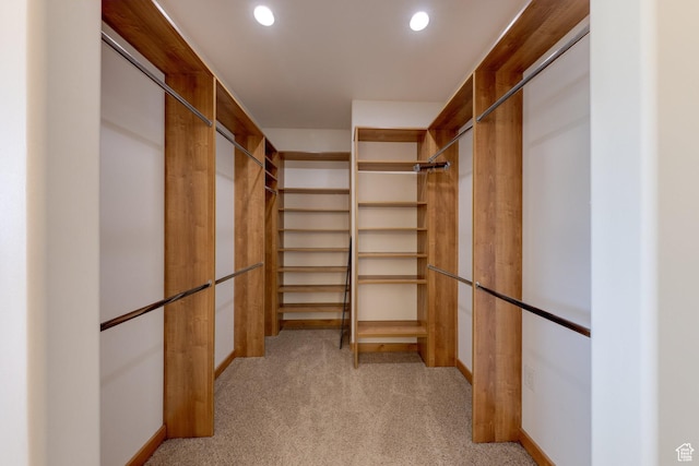4119 Valle Del Sol Dr, Moab, UT 84532 - spacious closet with light carpet