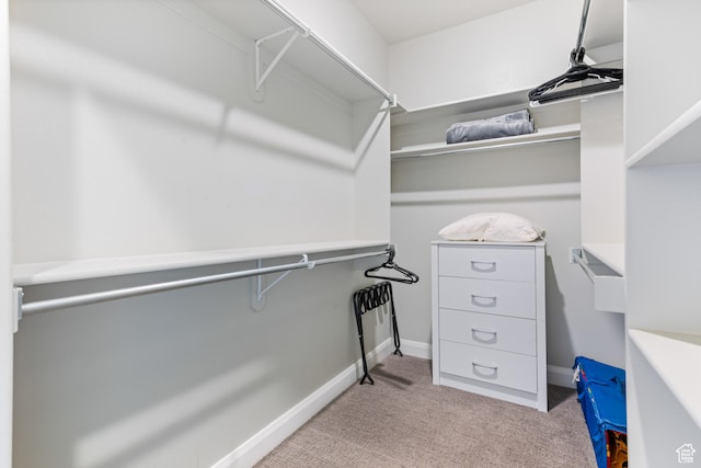 spacious closet with carpet