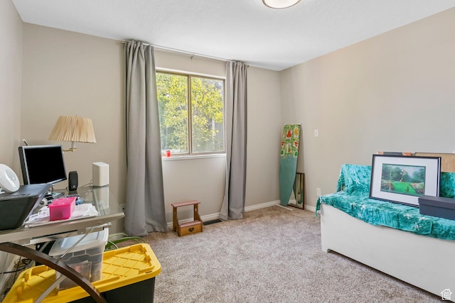 sitting room with carpet floors