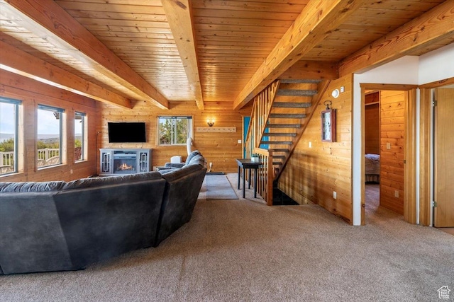 328 Lewis Loop Unit 46, Fish Haven, ID 83287 - photo 7
