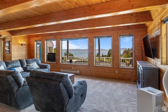 328 Lewis Loop Unit 46, Fish Haven, ID 83287