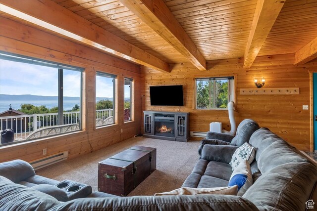 328 Lewis Loop Unit 46, Fish Haven, ID 83287