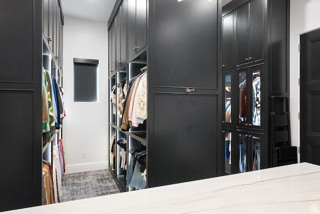 3905 S Quarry Ridge Dr, St George, UT 84790 - view of spacious closet