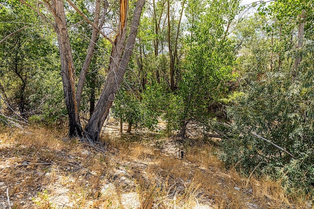 Unit 16, Salina, UT 84654