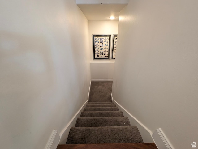 812 N Hillsdale Ln, Provo, UT 84606 - stairway with carpet