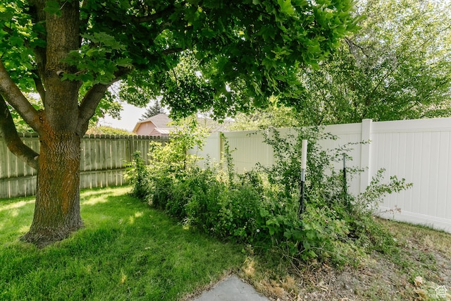 596 Eagle Dr, Preston, ID 83263 - view of yard