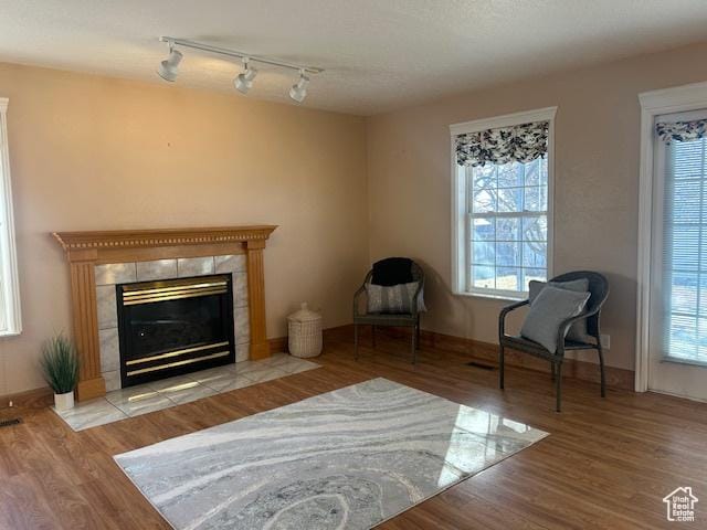 596 Eagle Dr, Preston, ID 83263 - sitting room featuring a wealth of natural light, a fireplace, and light hardwood / wood-style floors
