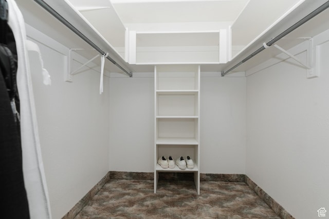 596 Eagle Dr, Preston, ID 83263 - view of spacious closet