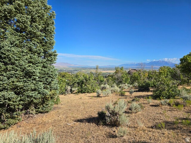 53 S High Sierra Dr, Elk Ridge, UT 84651 - photo 18