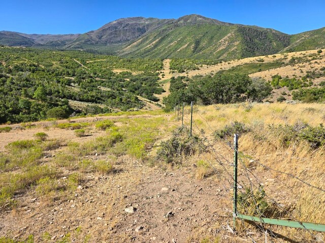 53 S High Sierra Dr, Elk Ridge, UT 84651 - photo 37
