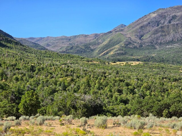 53 S High Sierra Dr, Elk Ridge, UT 84651 - photo 27