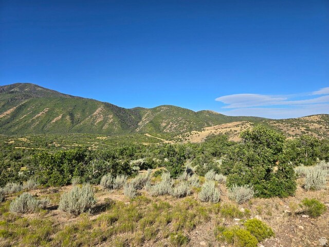 53 S High Sierra Dr, Elk Ridge, UT 84651 - photo 12