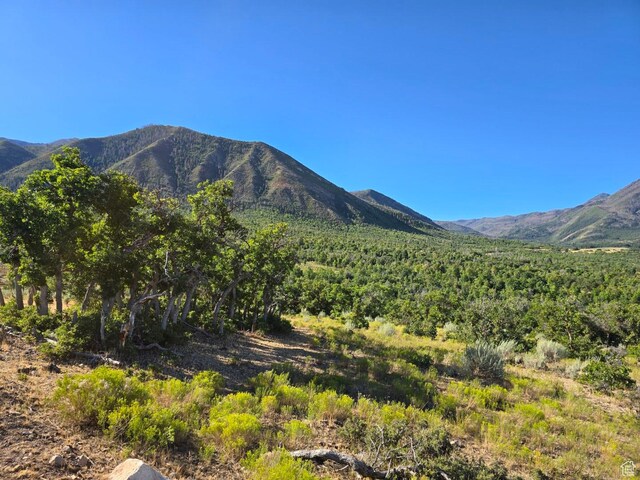 53 S High Sierra Dr, Elk Ridge, UT 84651 - photo 14