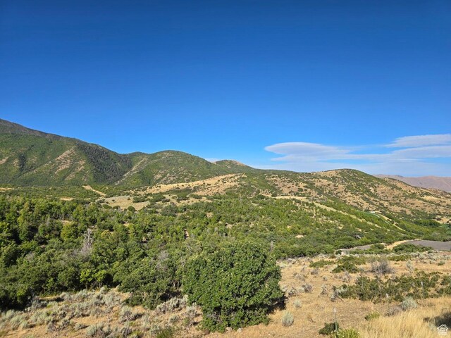 53 S High Sierra Dr, Elk Ridge, UT 84651 - photo 11