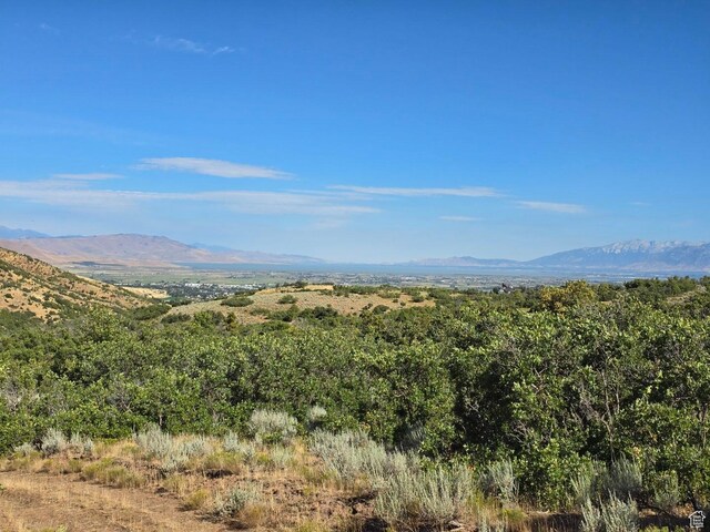 53 S High Sierra Dr, Elk Ridge, UT 84651 - photo 43