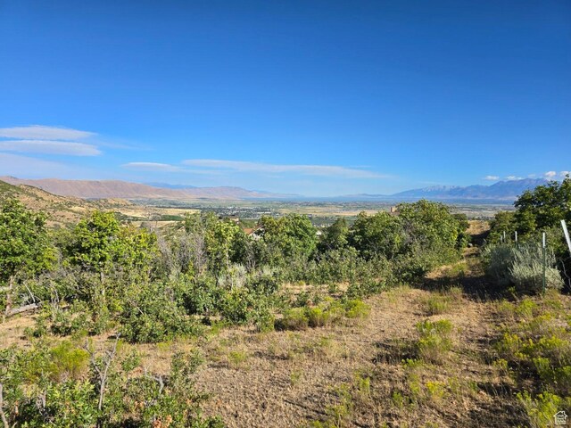 53 S High Sierra Dr, Elk Ridge, UT 84651 - photo 22