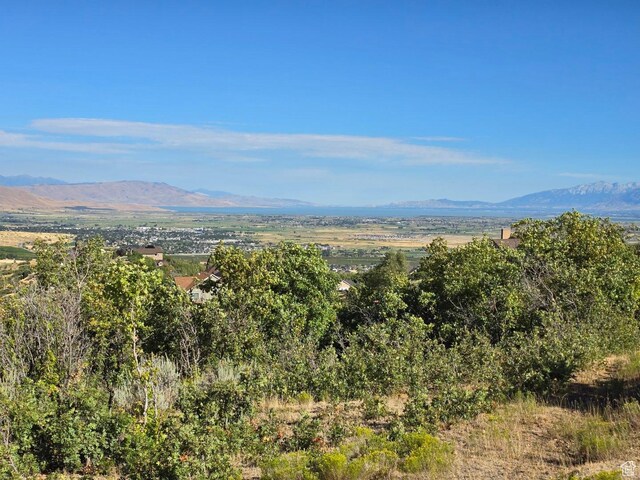 53 S High Sierra Dr, Elk Ridge, UT 84651 - photo 23