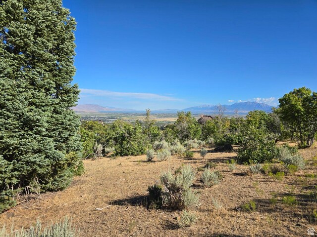 53 S High Sierra Dr, Elk Ridge, UT 84651 - photo 19