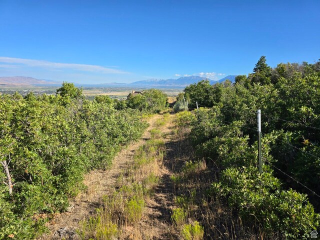 53 S High Sierra Dr, Elk Ridge, UT 84651 - photo 21