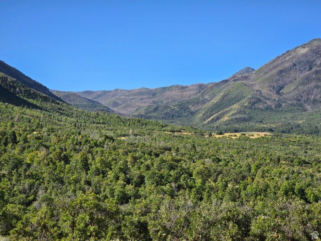 53 S High Sierra Dr, Elk Ridge, UT 84651 - photo 17