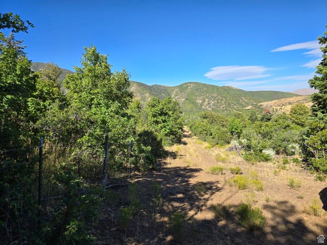 53 S High Sierra Dr, Elk Ridge, UT 84651 - photo 45