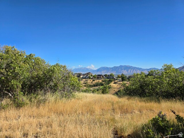 53 S High Sierra Dr, Elk Ridge, UT 84651 - photo 32