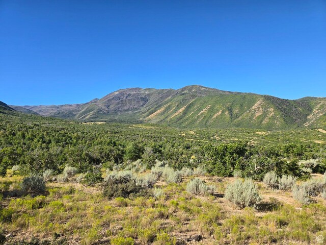 53 S High Sierra Dr, Elk Ridge, UT 84651 - photo 13