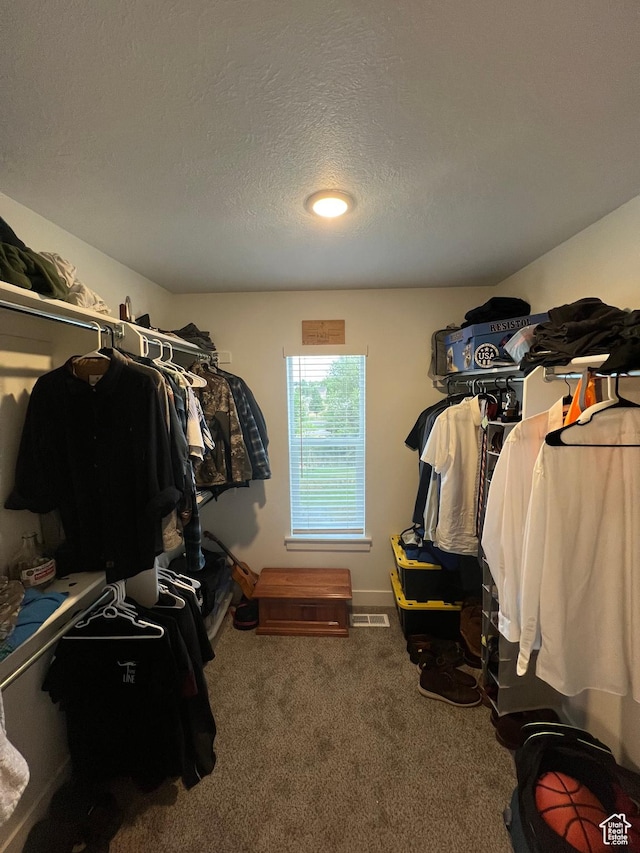 spacious closet featuring carpet flooring