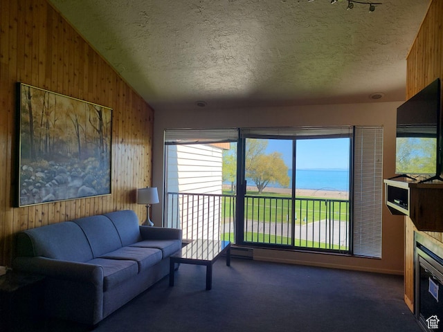 2176 S Bear Lake Blvd S Unit 452, Garden City, UT 84028 - living room featuring dark colored carpet, a fireplace, wooden walls, and a textured ceiling