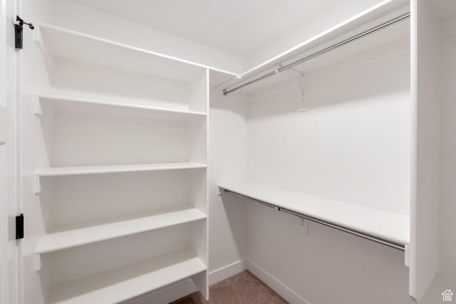 9829 N Aaron Ave Unit 213, Eagle Mountain, UT 84005 - walk in closet with carpet flooring