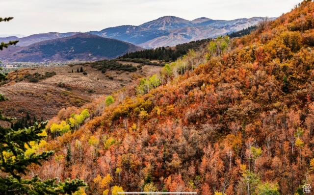 7827 Tall Oaks Dr Unit E76, Park City, UT 84098 - photo 57