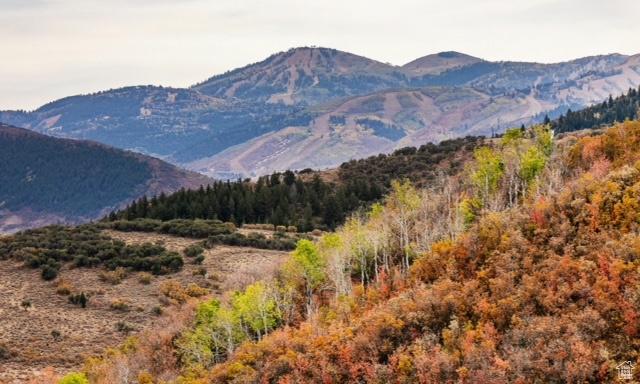 7827 Tall Oaks Dr Unit E76, Park City, UT 84098 - photo 5