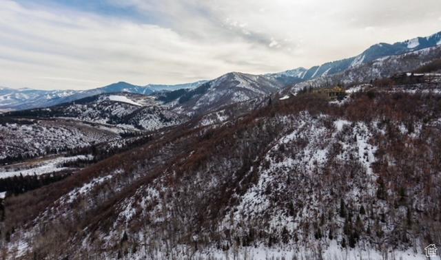 7827 Tall Oaks Dr Unit E76, Park City, UT 84098 - photo 59