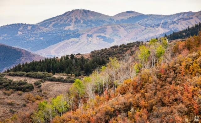 7827 Tall Oaks Dr Unit E76, Park City, UT 84098 - photo 50