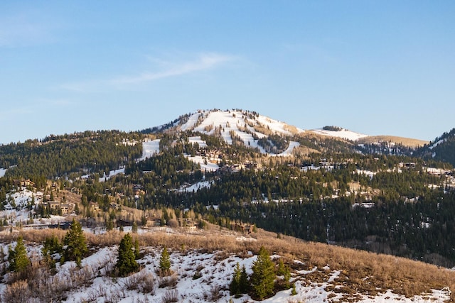 1310 Mellow Rd, Park City, UT 84060 - mountain view