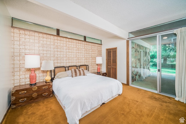 975 N 1600 E, Logan, UT 84321 - bedroom with carpet floors, a textured ceiling, and access to outside