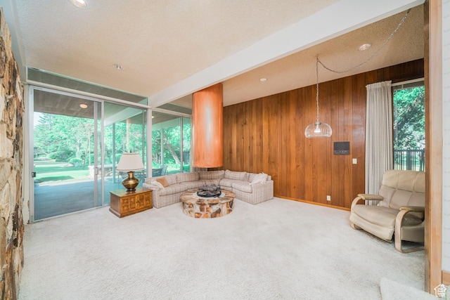 975 N 1600 E, Logan, UT 84321 - carpeted living room with plenty of natural light and wooden walls