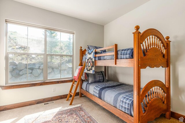 14160 N Council Fire Trl, Heber City, UT 84032 - bedroom with carpet floors and baseboards