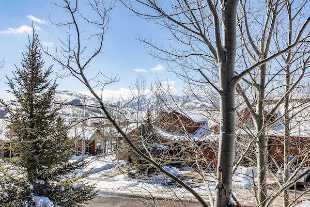 14160 N Council Fire Trl, Heber City, UT 84032 - view of snowy exterior with a mountain view