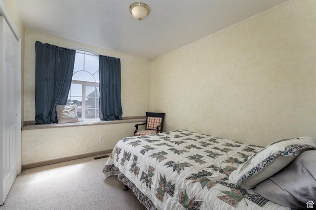 2546 W 1200 N, Roosevelt, UT 84066 - bedroom with carpet and a closet