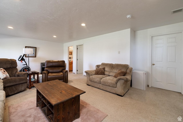 2546 W 1200 N, Roosevelt, UT 84066 - living room featuring light carpet and a textured ceiling
