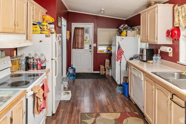 410 S 100 E, Brigham City, UT 84302 - kitchen with sink, crown molding, vaulted ceiling, dark hardwood / wood-style floors, and white appliances