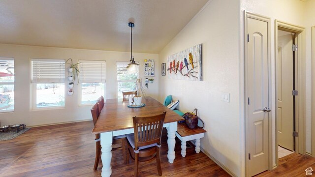 990 S Freedom Way, Big Water, UT 84741 - dining room featuring vaulted ceiling and dark hardwood / wood-style flooring